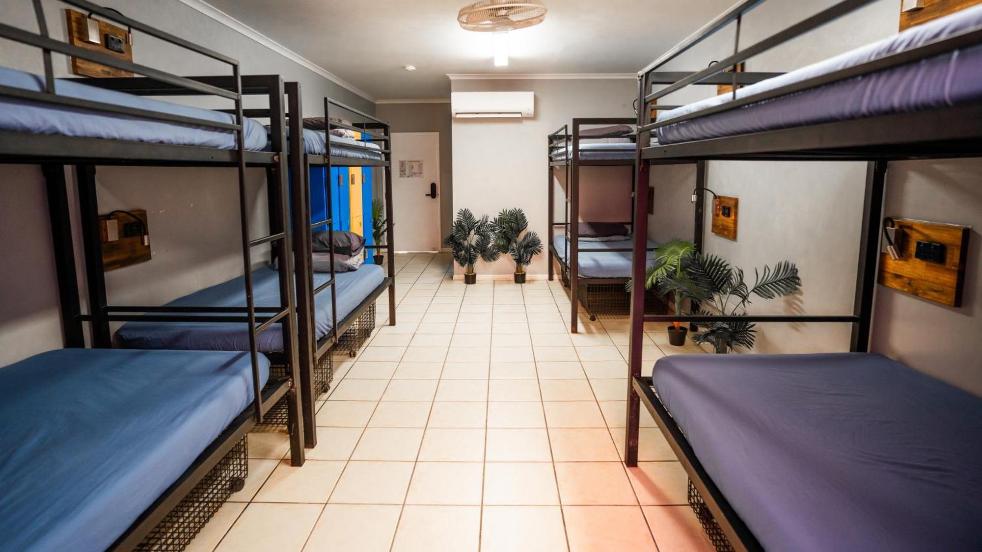 Mad Monkey Jungle Hostel Cairns Buitenkant foto